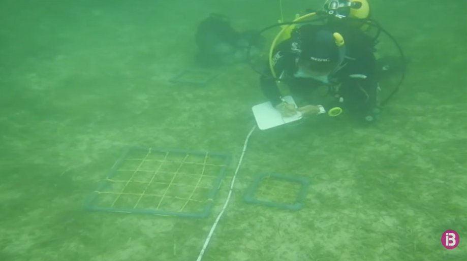 Marilles Foundation tweet media