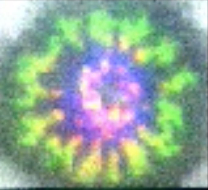 Philippos' and <a href="/EnasAbuShah/">Enas Abu-Shah</a> paper on CD2 corolla is now out in Nature Immunology!  CD2's location in the immunological synapse is important for signaling, including effects of PD-1 checkpoint and reduced CD2 in tumour infiltrating T cells!  rdcu.be/b7d40