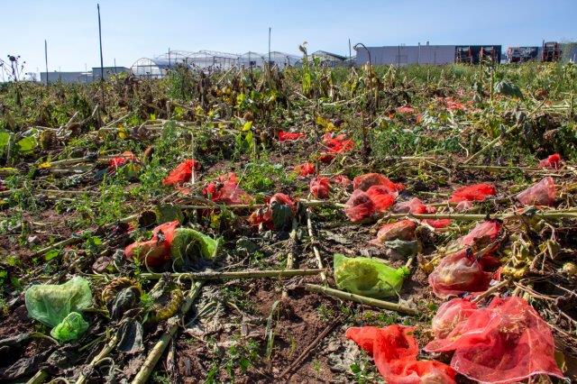 <a href="/barbarapompili/">Barbara Pompili</a> <a href="/coquelicots_/">Nous voulons des Coquelicots</a> Et quand des entreprises cherchent des solutions et se font détruire les expérimentations par les copains des Coquelicots, on ne vous entend pas <a href="/barbarapompili/">Barbara Pompili</a>

ragt-semences.fr/fr-fr/l%E2%80%…

Évitez de parler de "effort de recherche" en soutenant ces lobbyistes...