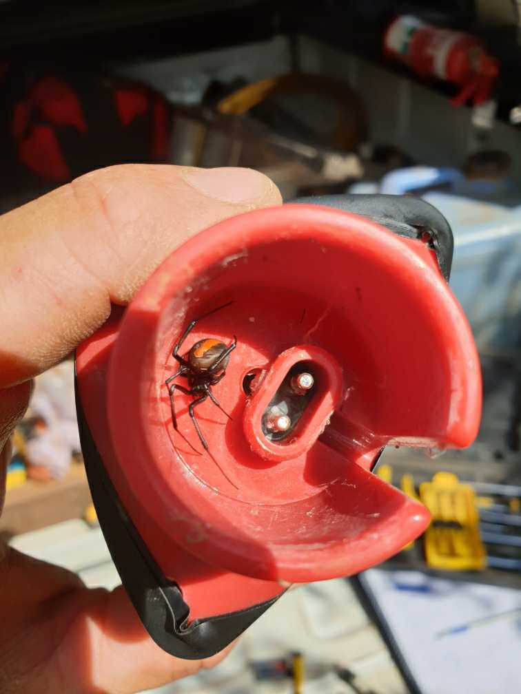 Wasn't expecting that! Sometimes you get some unwanted surprises when changing #GDot batteries!

gdot.com.au
#soilmoisturemonitoring
#simple