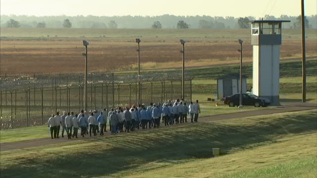 More pictures from the labor cohorts, doing manual field work that could easily be finished with mechanical machines instead.  #ForcedLabor  #Xinjiang