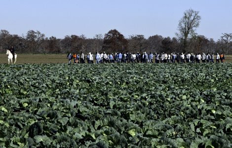 Exclusive photos from  #ForcedLabor in  #Xinjiang. Inmates of a re-education camp are picking cotton and doing other field work.  #Thread