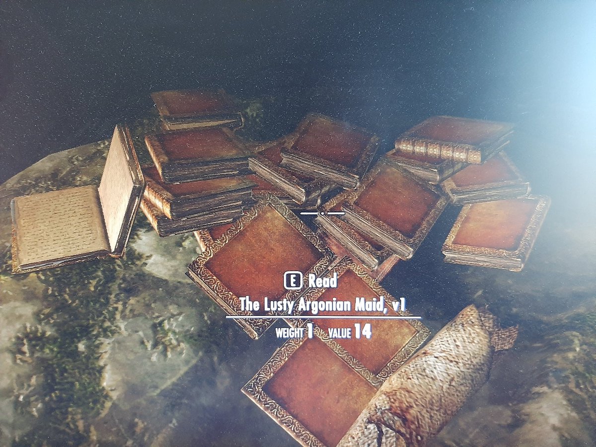 FaikaG's tweet photo. @helloitskolo I just found a pile of The Lusty argonian Maids volume 1 and 2 playing Skyrim. Like an actual pile of about 20 copies 😂 Had to share that with you https://t.co/SMkiM8ZMx1