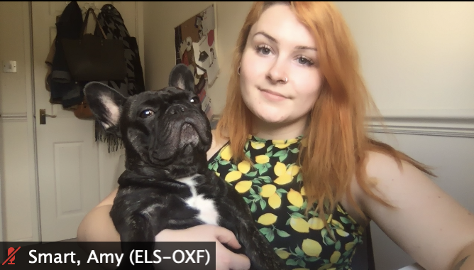iamsmarta's tweet photo. The 4 stages of pretty much *most* of my work Zoom calls... Amy is alone, Amy is joined by doggo, doggo bulldozes the call and tramples the laptop, Amy puts doggo in timeout 😂 #DogsOfZoom https://t.co/QovAMHvVIo