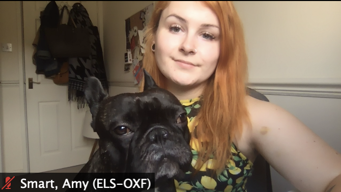 iamsmarta's tweet photo. The 4 stages of pretty much *most* of my work Zoom calls... Amy is alone, Amy is joined by doggo, doggo bulldozes the call and tramples the laptop, Amy puts doggo in timeout 😂 #DogsOfZoom https://t.co/QovAMHvVIo