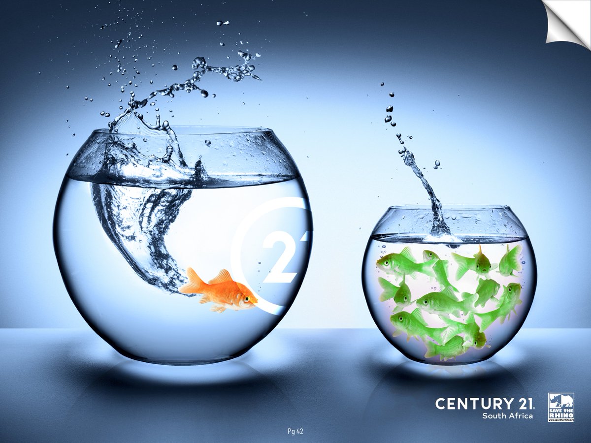 century_george's tweet photo. Jump into a new, bigger &amp; better bowl, Join our relentless team of franchise owners!
A Worldwide Leader in Real Estate, In partnership with Save the Rhino International.
Buy | Sell | Rent
https://t.co/DY1Ymw0Kyw
#C21 #Leaders #buy #sell #rent #ENERGACITY @savetherhino https://t.co/snVwp6zFGz
