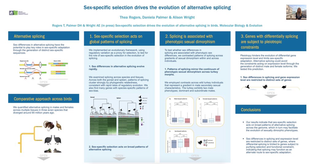 Alison Wright (@alielw) on Twitter photo Very pleased to share that our work on the evolution of alternative splicing has just been accepted in <a href="/MolBioEvol/">Molecular Biology and Evolution</a>! Led by <a href="/TheaFRogers/">Thea Rogers π©πΌβπ¬</a> and a great team effort from the lab with <a href="/dhdpalmer/">Daniela Palmer</a>. We are presenting this at #EESDimorphism so check out our poster tomorrow! Very pleased to share that our work on the evolution of alternative splicing has just been accepted in <a href="/MolBioEvol/">Molecular Biology and Evolution</a>! Led by <a href="/TheaFRogers/">Thea Rogers π©πΌβπ¬</a> and a great team effort from the lab with <a href="/dhdpalmer/">Daniela Palmer</a>. We are presenting this at #EESDimorphism so check out our poster tomorrow!