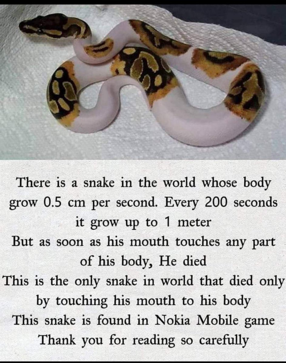 hayles25's tweet photo. 😂😂😂 #dying at this #Nokia #Snake #lol https://t.co/SgqVDlb9x0