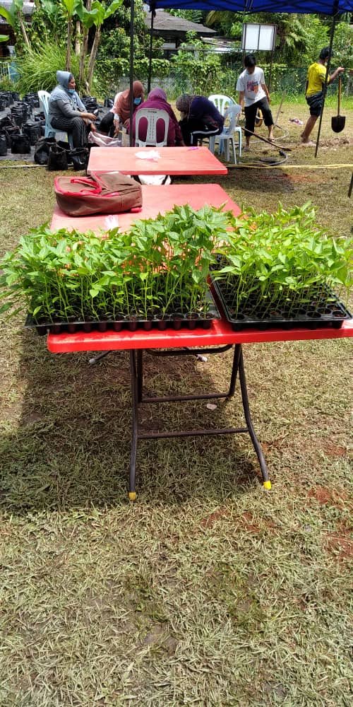 Food security is a necessity. #Rotarians come together to build the first #urbanfarm of #KampongBharu to ensure #zerohunger and give families access to healthy food. A project by <a href="/RCKBCC/">RCKBCC</a> Lembaga MAS <a href="/RCKLDiRaja/">Rotary Club of KL DiRaja</a> #RotaryKampongGelam &amp; #YKKRM 
#lamanulamanRotary #peopleofaction
