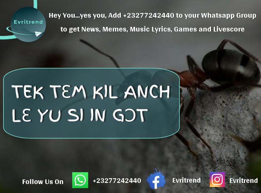 evritrend's tweet photo. Be careful how you act or react to certain situations in life 

#Evritrend #KrioProverb🇸🇱🇸🇱 #SierraLeone #SierraLeonean #entertainment #parables #Proverbs #memes #tips #africa #african #blacklivesmatter #fun #goodvibes 🙃 https://t.co/1PWjmJv00z