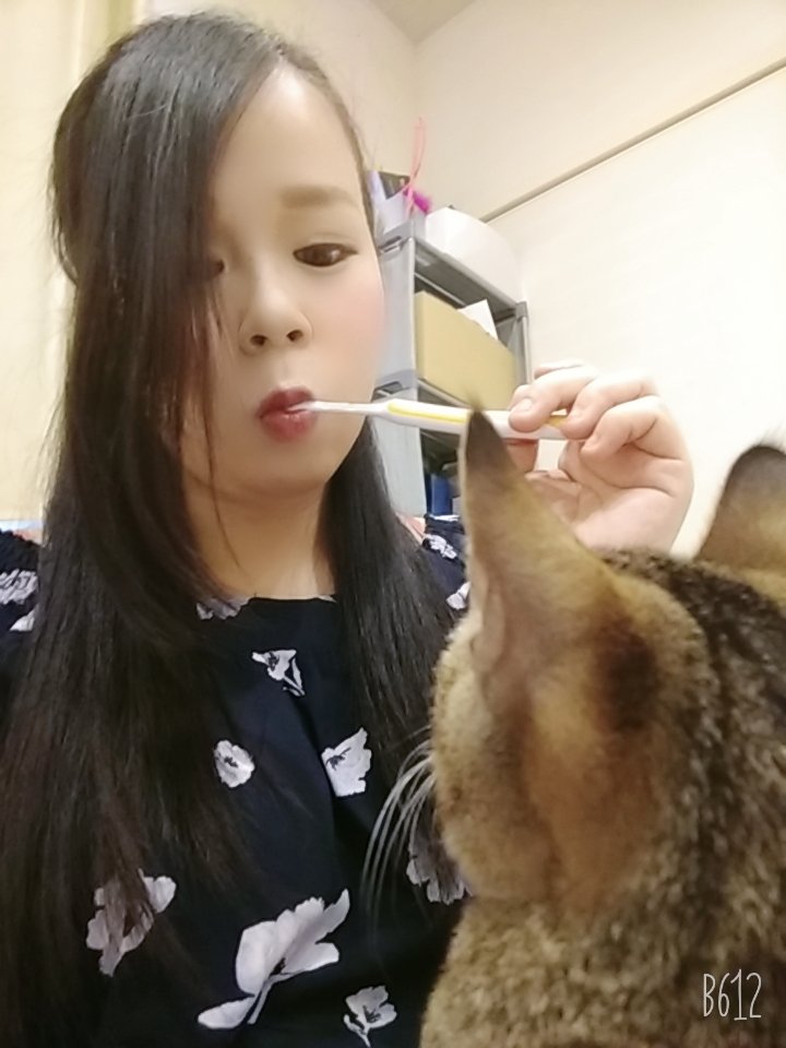 aruruna2's tweet photo. 不思議そうに歯磨きしてる姿をガン見するルナwww
#子猫 #生後4ヶ月 #ルナ���ゃん #女の子 #不思議 #歯磨き姿 #ガン見 #にらめっこかな #可愛い #ブス顔すみません #猫好きさんとつながりたい https://t.co/pdh9dXzcEB