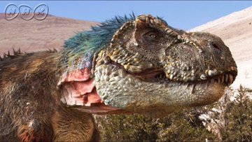 ティラノサウルス実は弱い トリケラトプスとどっちが強いか徹底解説 恐竜博士と赤ちゃん恐竜と一緒に恐竜を知ろう