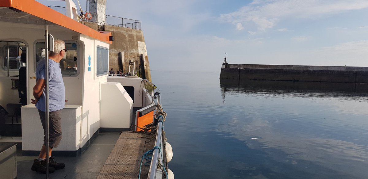 farneislands's tweet photo. https://t.co/llcCk3SXRn