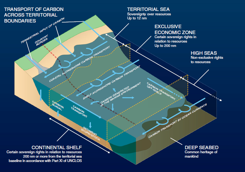 CefasGovUK's tweet photo. Shelf sea sediments are significant stores of carbon, but how can we account for the important role they play in our environments across boundaries? New #CefasScience paper explores https://t.co/veGe4fCKmq #carbonaccounting #openaccess https://t.co/2Xdqmn3mis