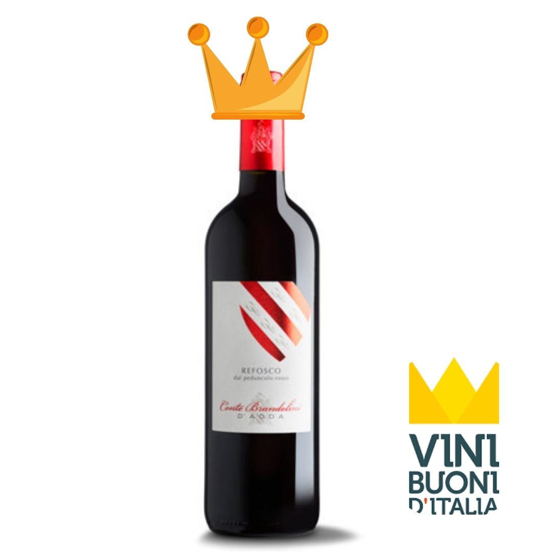 Vini Vistorta tweet media