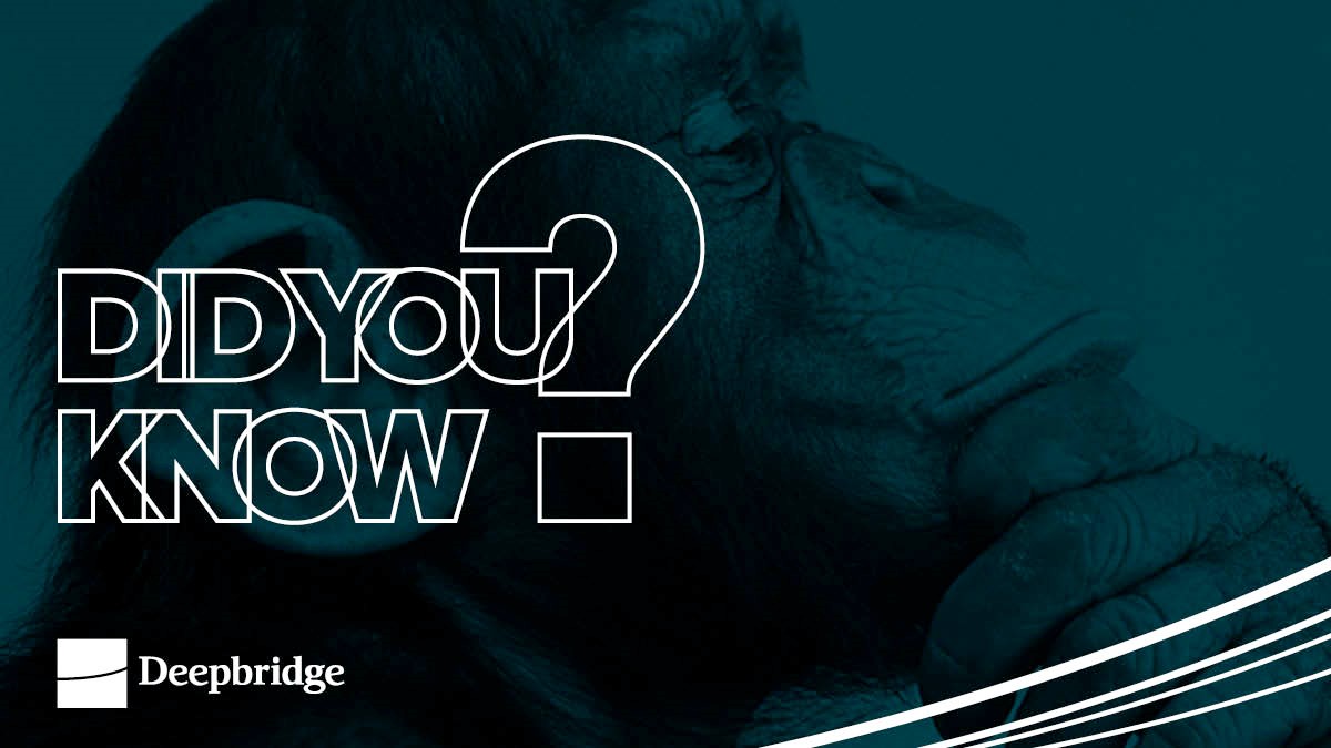 Did you know?

Deepbridge have supported 400+ jobs through funding.

#DidYouKnow #TuesdayThoughts