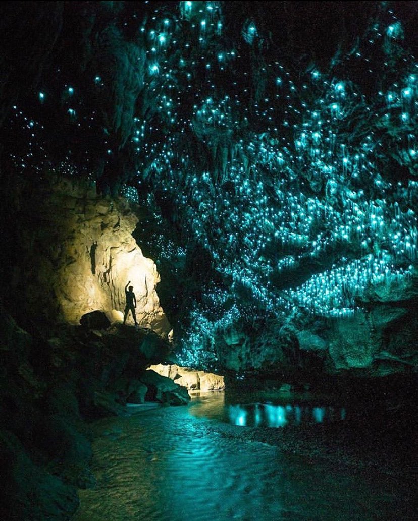 This glow worm cave in New Zealand looks like it is right out of a sci-fi movie. ⁣
Photocred(insta)- moonmountainman 
⁣
#waitomo #glowworms #glowworm #cave #waitomoglowwormcaves #discover #newzealand #beautifuldestinations #world #nature #visit #discover #photooftheday