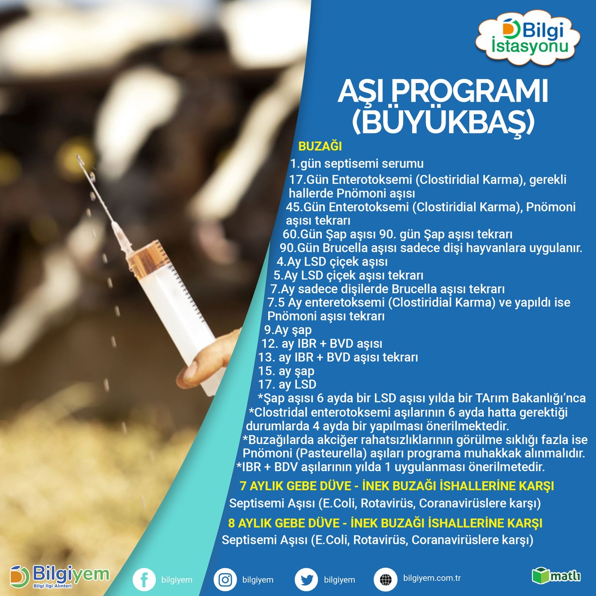 ⁣⁉BÜYÜKBAŞ AŞI PROGRAMI⁉⠀
⠀
📞444 0 936⠀
📱WhatsApp Bilgi Hattı: 0530 030 16 16⠀
🌐bilgiyem.com.tr⠀

#büyükbaş #aşıprogramı #yem #bilgiyem #matlı #hayvancılık