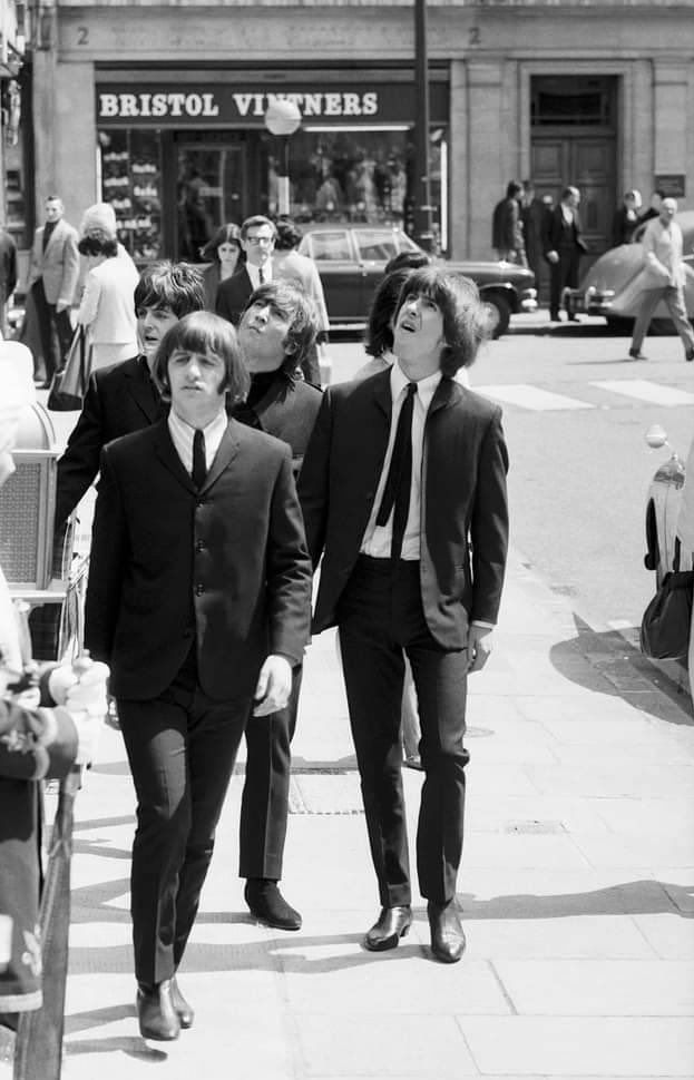 friseuringo's tweet image. Help! 🙄Pigeon poop.

#Cryptococcus