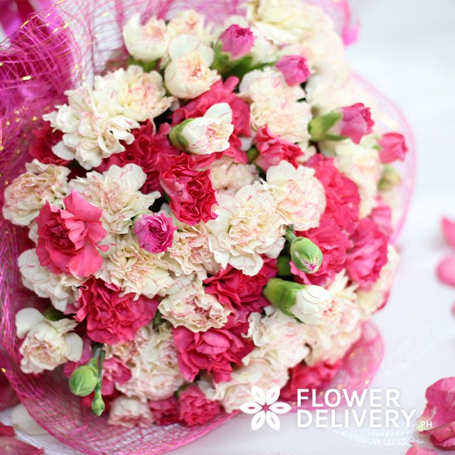 FDeliveryPH's tweet photo. Delivered in Addition Hills, Mandaluyong City. The recipient is an artist/painter who is quite fascinated with this type of flower. Also known for her masterpieces in floral paintings, she would love to add this bouquet of 20 White and 20 Pink Carnations to her collection! https://t.co/dCFVehMEQy