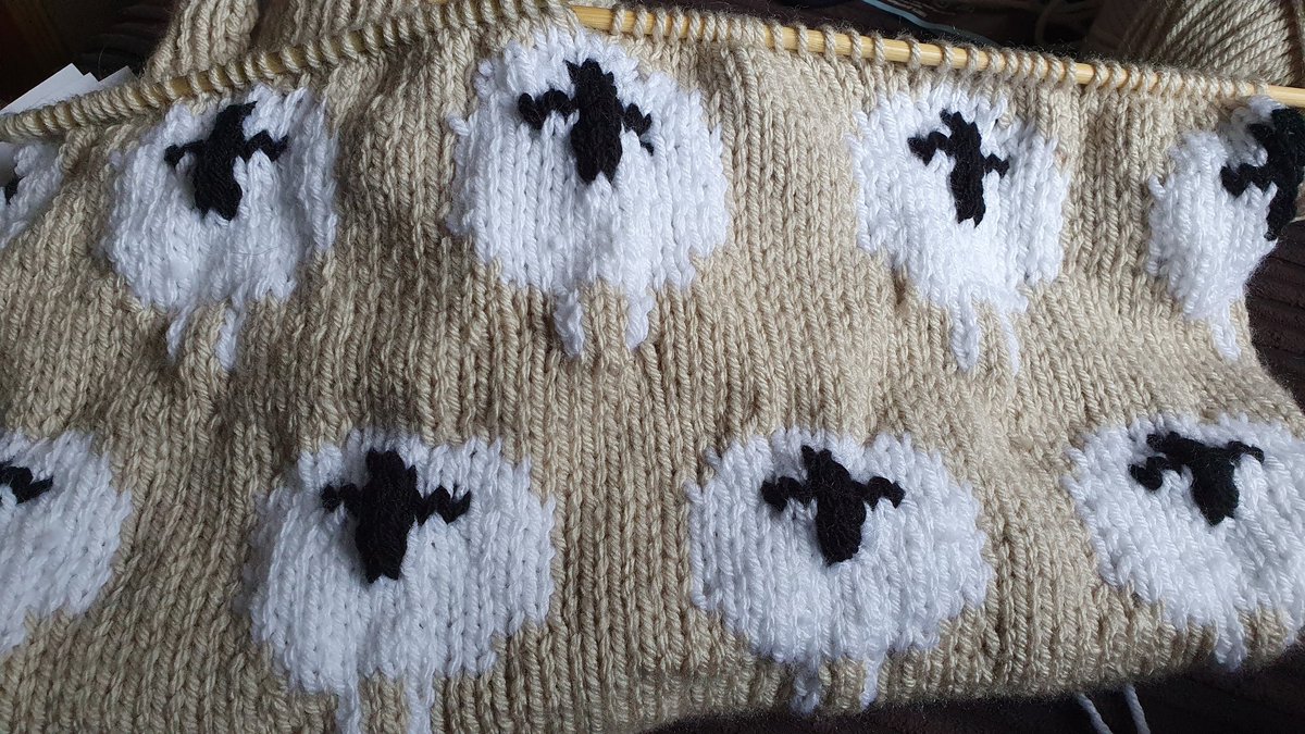 LouiseWalton78's tweet photo. Morning #elevenseshour busy day knitting this custom made sheep cushion cover..Have a good day everyone 🐑🐏🐑🐏 #knitinprogress https://t.co/f7L1w1EU2X