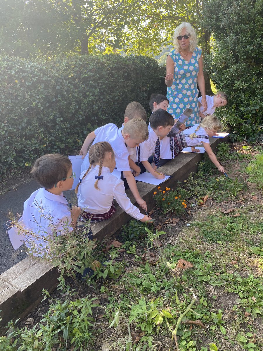 St_Johns_School's tweet photo. Reception and Year 1 had great fun exploring the grounds with Mrs Cross yesterday afternoon https://t.co/THsUIGTfw0