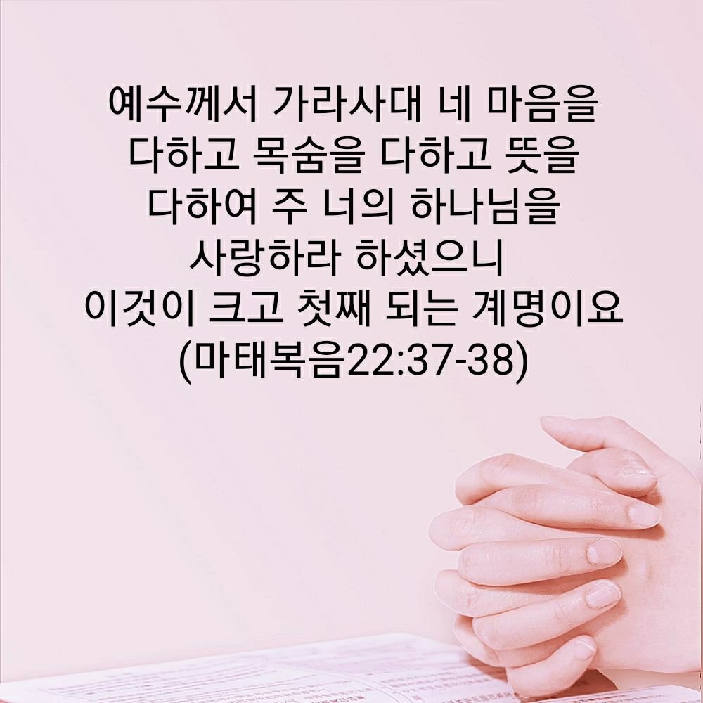 정효연 (@zhangxin20171) on Twitter photo 