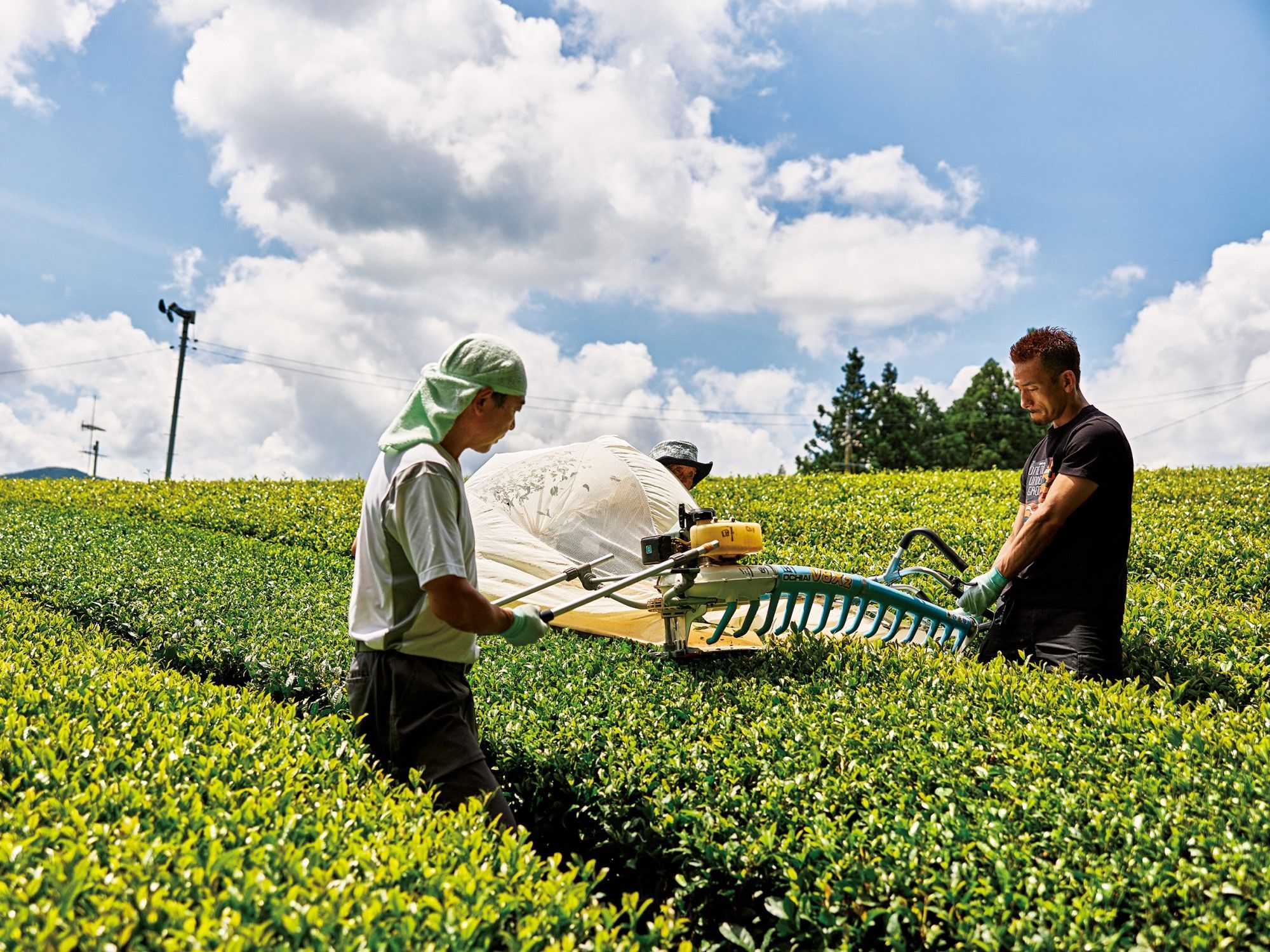 Pen Magazine 本日発売 中田英寿 のニッポン文化特別講義 各地の生活を見ることが 日本文化を学ぶことになる 全国を巡り 日本文化の魅力を発信し続けている中田英寿さん 写真は静岡県のカネタ太田園にて 茶葉摘採機を操り 日本茶 の収穫を