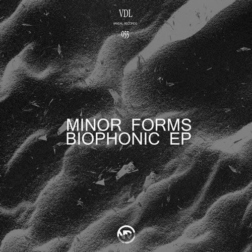 Check out 'Biophonic', the new track of Minor Forms on Vandal Records. 🥁
beatport.com/track/biophoni…