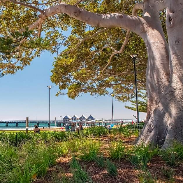 David Ashley Photography (@dashleyphoto) on Twitter photo Busselton WA such an amazing place! <a href="/WestAustralia/">Western Australia</a> <a href="/Australia/">Australia</a> <a href="/westaustralian/">The West Australian</a> <a href="/tweetbusselton/">Tweet Busselton</a> <a href="/TweetSouthwest/">Tweet South West</a> @AustraliasSW @helloperth <a href="/perthisok/">Perth is OK</a> <a href="/perthnow/">PerthNow</a> <a href="/10NewsFirstPER/">10 News First Perth</a> <a href="/perthlife/">jagadesh</a> <a href="/PerthHappenings/">Perth Happenings</a> <a href="/Destination_WA/">Destination_WA</a> Busselton WA such an amazing place! <a href="/WestAustralia/">Western Australia</a> <a href="/Australia/">Australia</a> <a href="/westaustralian/">The West Australian</a> <a href="/tweetbusselton/">Tweet Busselton</a> <a href="/TweetSouthwest/">Tweet South West</a> @AustraliasSW @helloperth <a href="/perthisok/">Perth is OK</a> <a href="/perthnow/">PerthNow</a> <a href="/10NewsFirstPER/">10 News First Perth</a> <a href="/perthlife/">jagadesh</a> <a href="/PerthHappenings/">Perth Happenings</a> <a href="/Destination_WA/">Destination_WA</a>