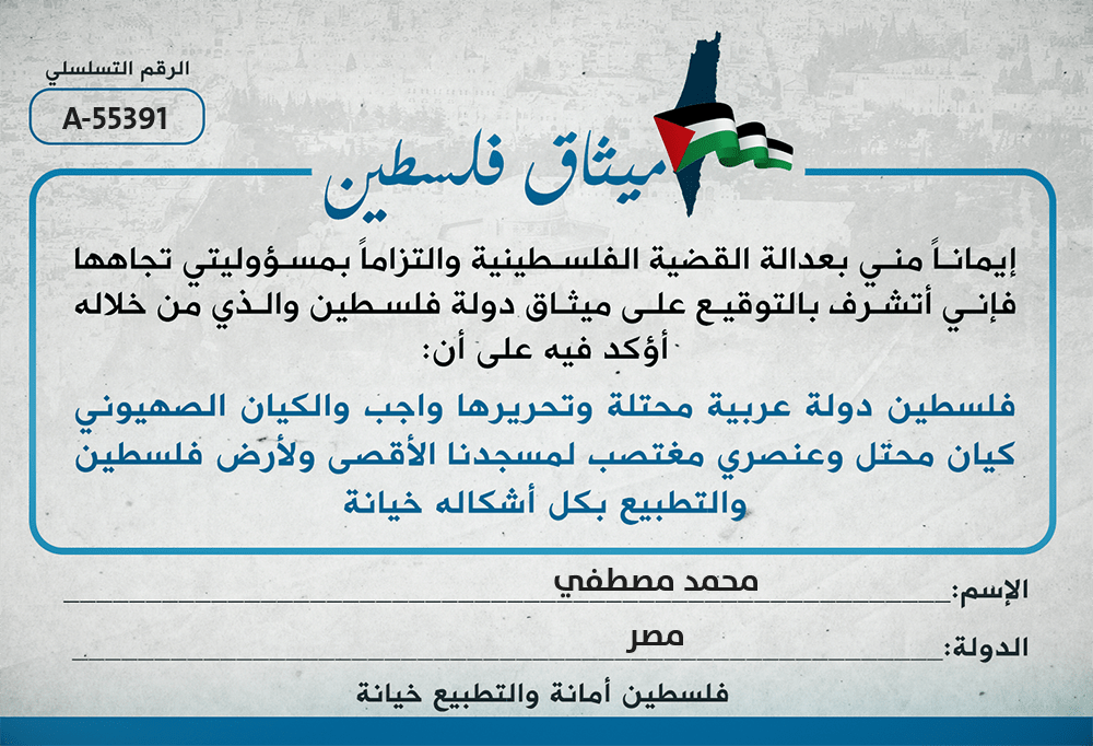 mohamed mostafa tweet media