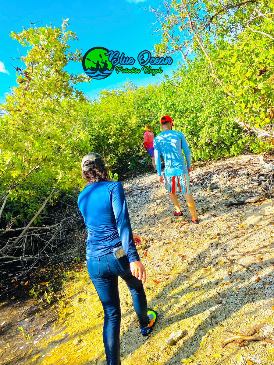 ToursKayak01's tweet photo. #YaAbrimos🚨🚨No te lo puedes perder!!

🌴Cayo Don Luis🌴🚣🏿‍♀️ 

*Enjoy the beauty of paradise ⭐️⭐️⭐️⭐️⭐️

Para reservación:📲787-519-8095

#blueoceanparadisekayak #PuertoRico #islandlife #islandparadise #kayakingfun #kayakingadventures #september #Fun https://t.co/3MsLOevrbO