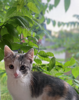 Bay View High School tweet media