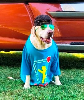 MySOFFtweets's tweet photo. Don't miss SOFF 2020 - Virtually the Best! featuring Grady and Budrow. These two are SOFF favorites and you won't want to miss seeing them both in our SOFF video. Your first opportunity to watch SOFF 2020 is this Saturday, Sept 19, at 10 a.m. CT. #SOFF2020 #CCICares https://t.co/7RIYS2tQaz