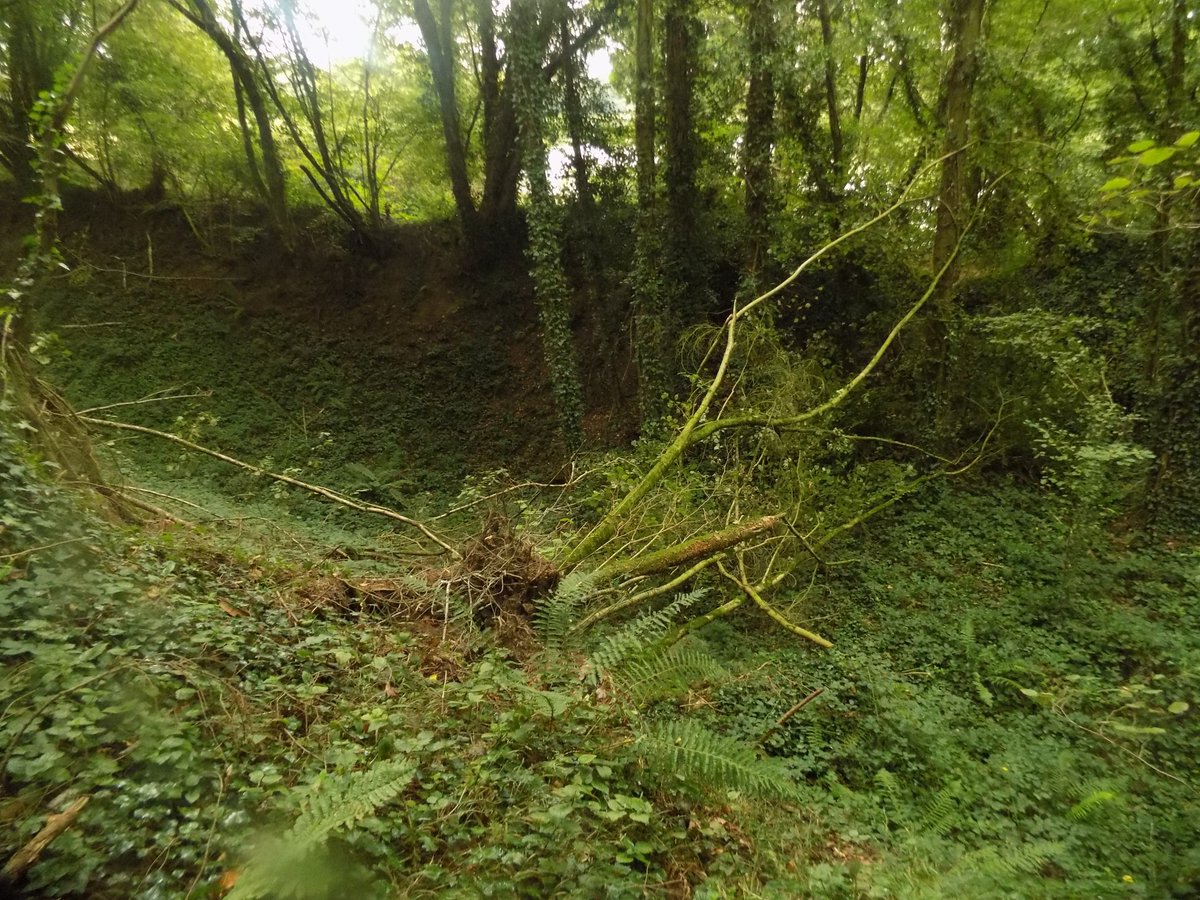 ThiChaplain's tweet image. les traces de ce #Patrimoine d'abord un camp romain puis réutiliser au Haut-MoyenÂge comme Motte Féodale, cela surprend un peu car c'est une motte féodale près du #Sulon et d'une ancienne #voie romaine donc dans une vallée. #KreizBreizh #Histoire #bretagne #CôtesdArmor