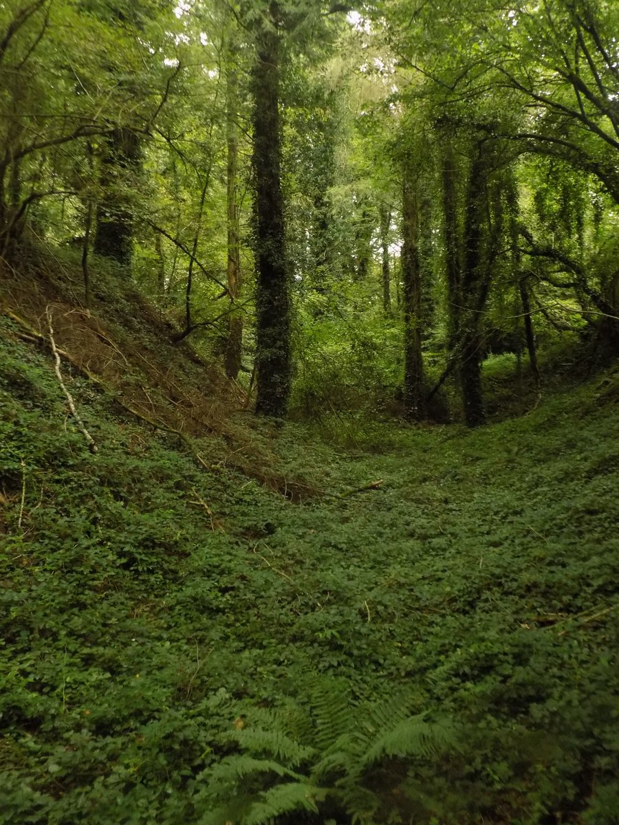 ThiChaplain's tweet image. les traces de ce #Patrimoine d'abord un camp romain puis réutiliser au Haut-MoyenÂge comme Motte Féodale, cela surprend un peu car c'est une motte féodale près du #Sulon et d'une ancienne #voie romaine donc dans une vallée. #KreizBreizh #Histoire #bretagne #CôtesdArmor