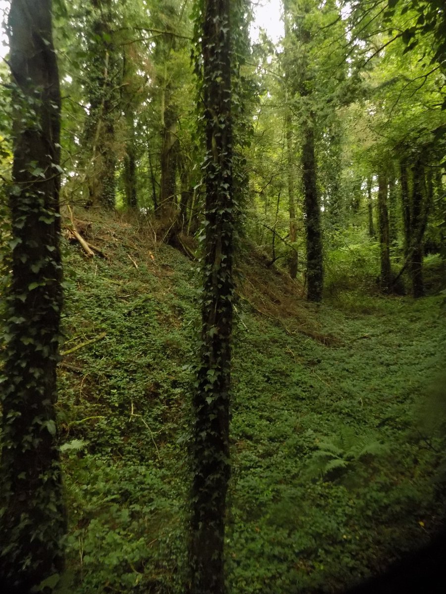 ThiChaplain's tweet image. les traces de ce #Patrimoine d'abord un camp romain puis réutiliser au Haut-MoyenÂge comme Motte Féodale, cela surprend un peu car c'est une motte féodale près du #Sulon et d'une ancienne #voie romaine donc dans une vallée. #KreizBreizh #Histoire #bretagne #CôtesdArmor