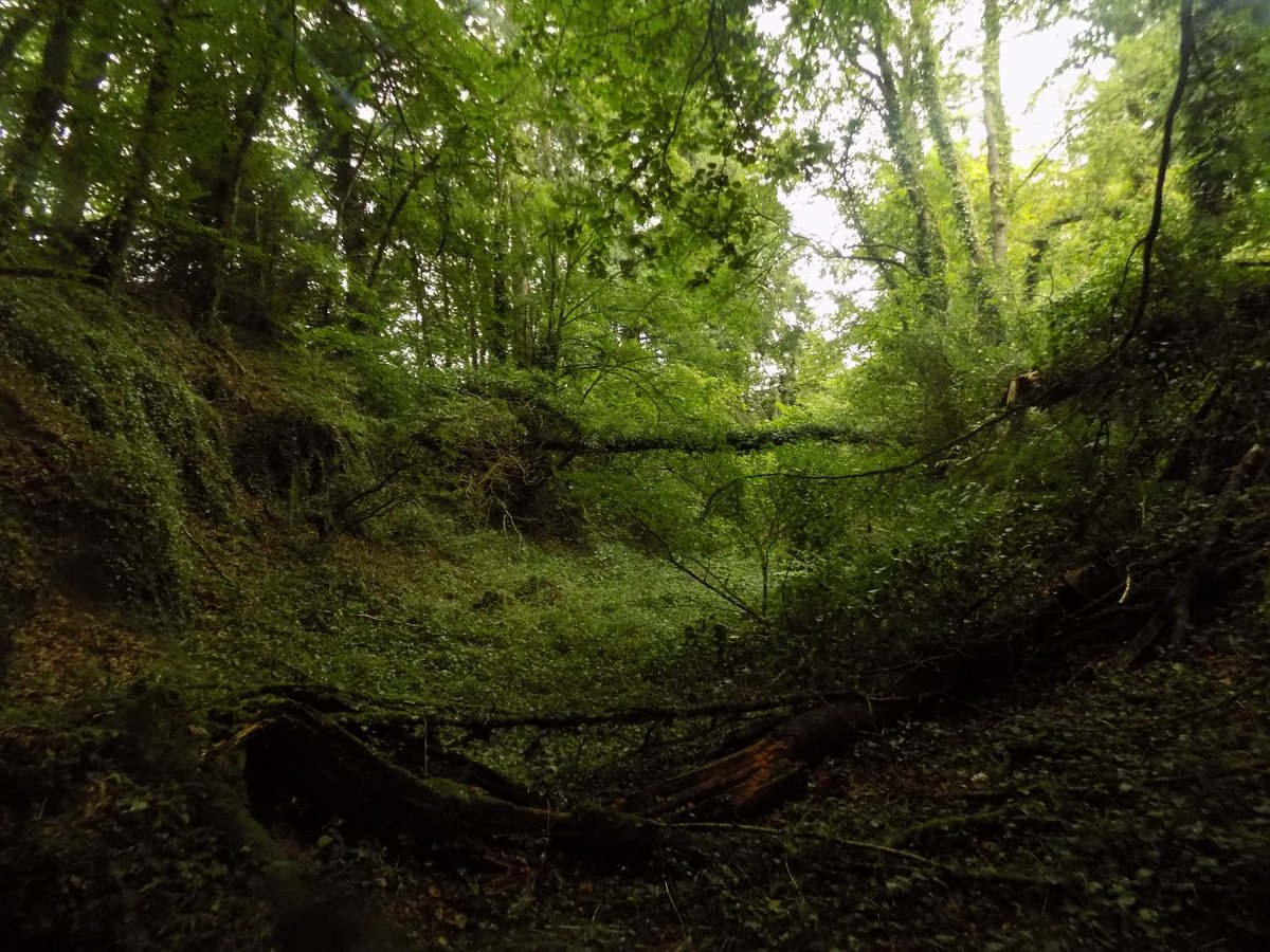 ThiChaplain's tweet image. les traces de ce #Patrimoine d'abord un camp romain puis réutiliser au Haut-MoyenÂge comme Motte Féodale, cela surprend un peu car c'est une motte féodale près du #Sulon et d'une ancienne #voie romaine donc dans une vallée. #KreizBreizh #Histoire #bretagne #CôtesdArmor