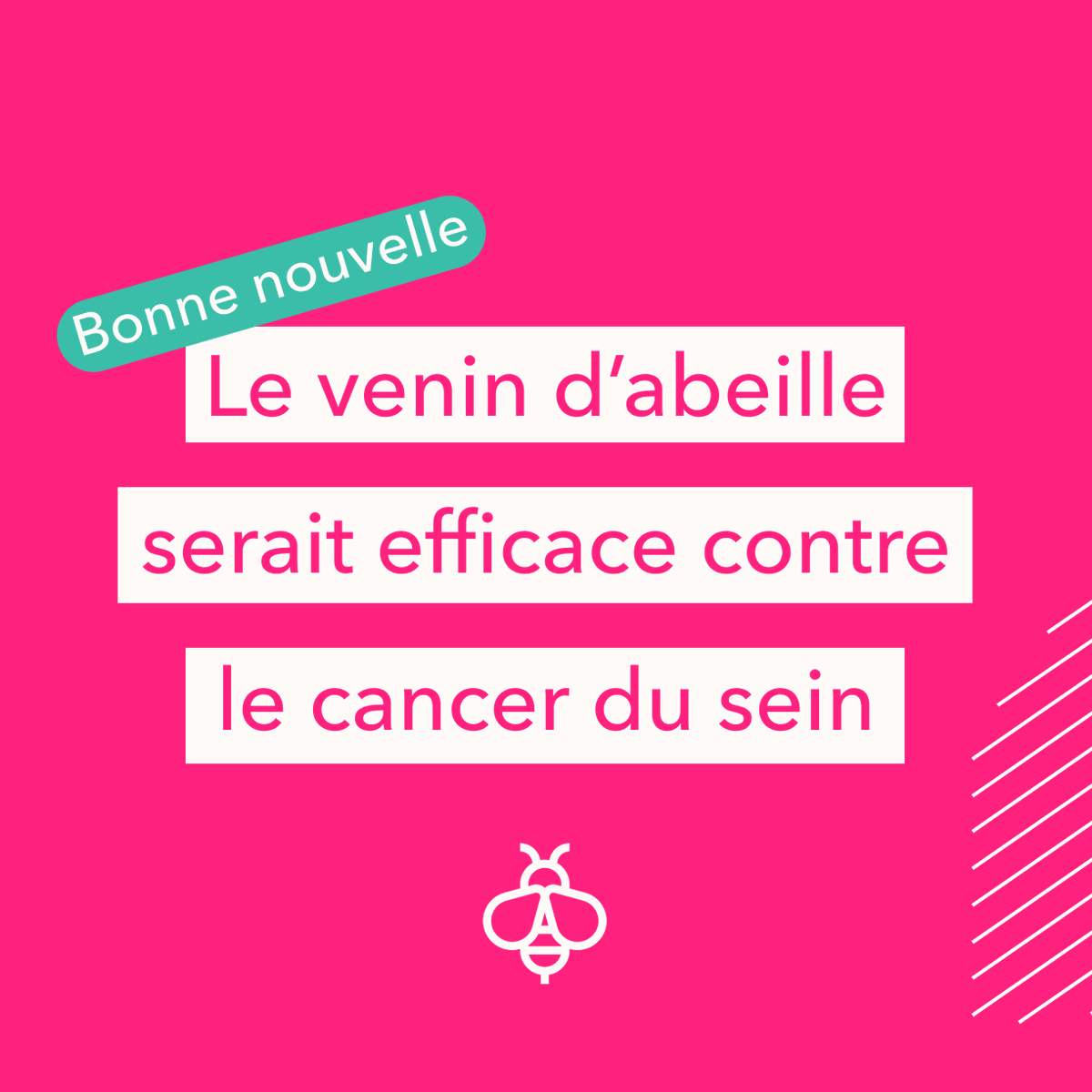 Si ça c’est pas une bonne nouvelle ! 🐝🐝

C’est le Dr Ciara Duffy qui a déclaré qu’une concentration spécifique de venin d’abeille pouvait tuer 100% des cellules cancéreuses tout en ayant des effets minimes sur les cellules saines. 🙌