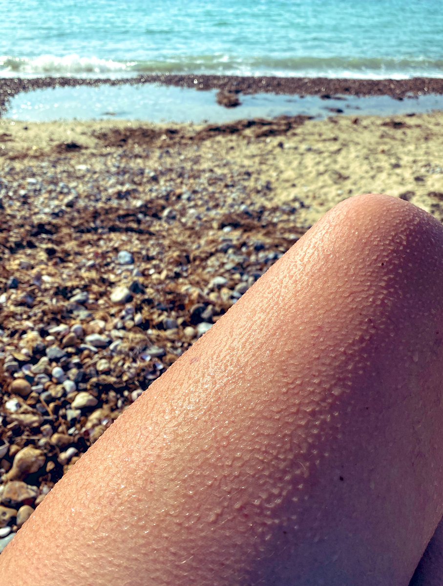 TFeelGoodGuide's tweet photo. The nip of the fresh, crisp sea water as you immerse your shoulders, swaddling yourself with feel good. What felt good to you today? https://t.co/qQdJJyCeVG