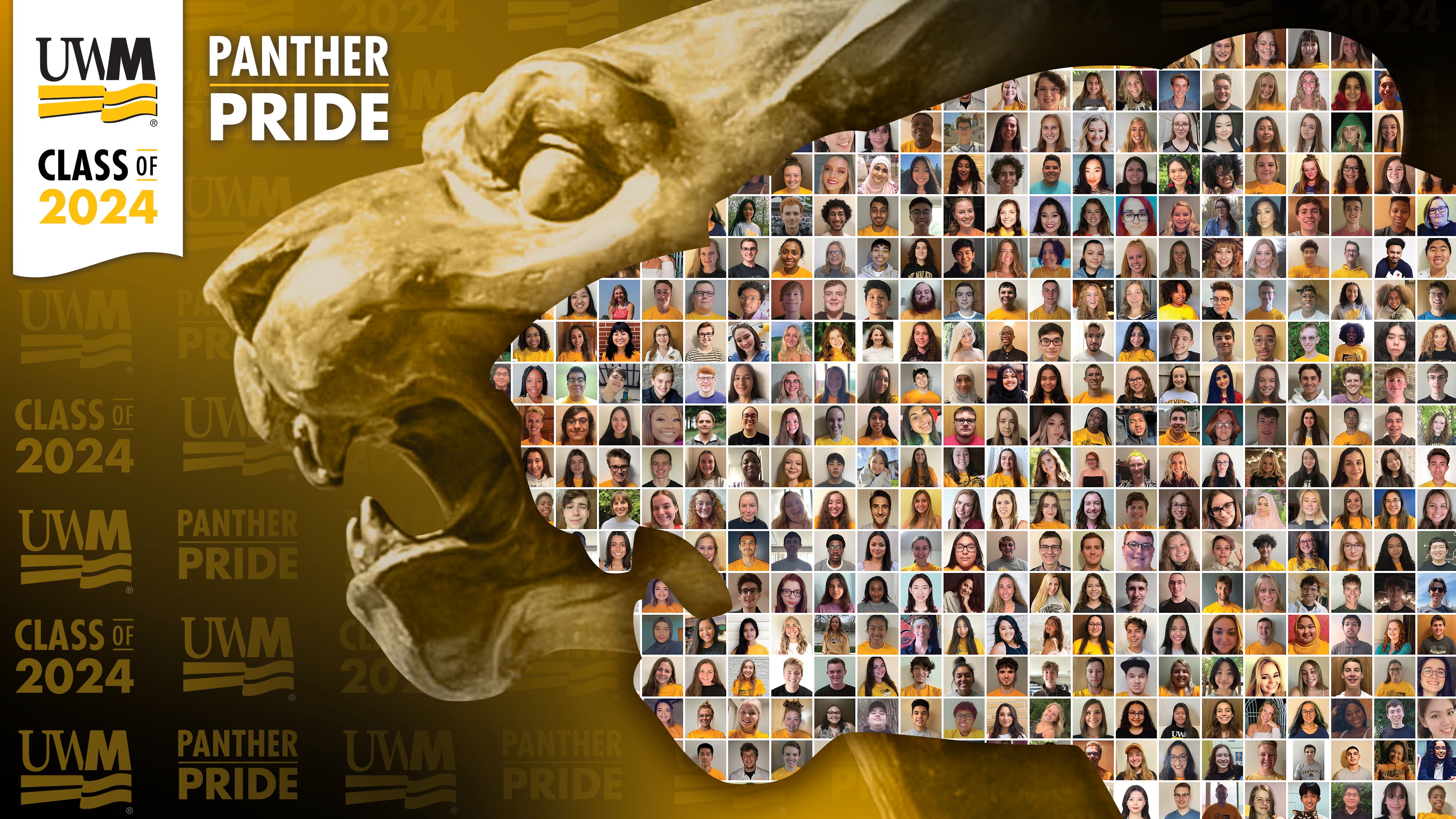 Uwm Fall 2024 Classes Paule
