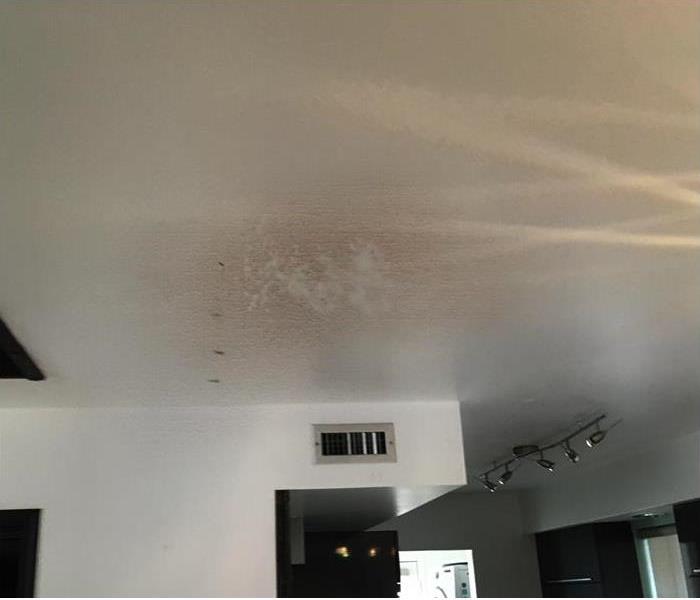 SERVPROCPhoenix's tweet photo. Avoid These Mistakes If Your Home Has Mold -
https://t.co/KA1fcz072d #SERVPRO #SERVPROofCentralPhoenix #mold #moldremediation #moldproblems #moldremovalservices #helpwithmold https://t.co/M3Up4TRYEu