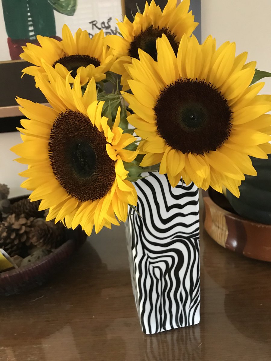 Beverly O'Brien (@beverlyobrien17) on Twitter photo Happy sunflowers from supportive parents. Thank you to all of our families for their patience and support as we restart school. <a href="/TDSB_Withrow/">Withrow Ave. JR / Quest Alt. SR</a> Happy sunflowers from supportive parents. Thank you to all of our families for their patience and support as we restart school. <a href="/TDSB_Withrow/">Withrow Ave. JR / Quest Alt. SR</a>