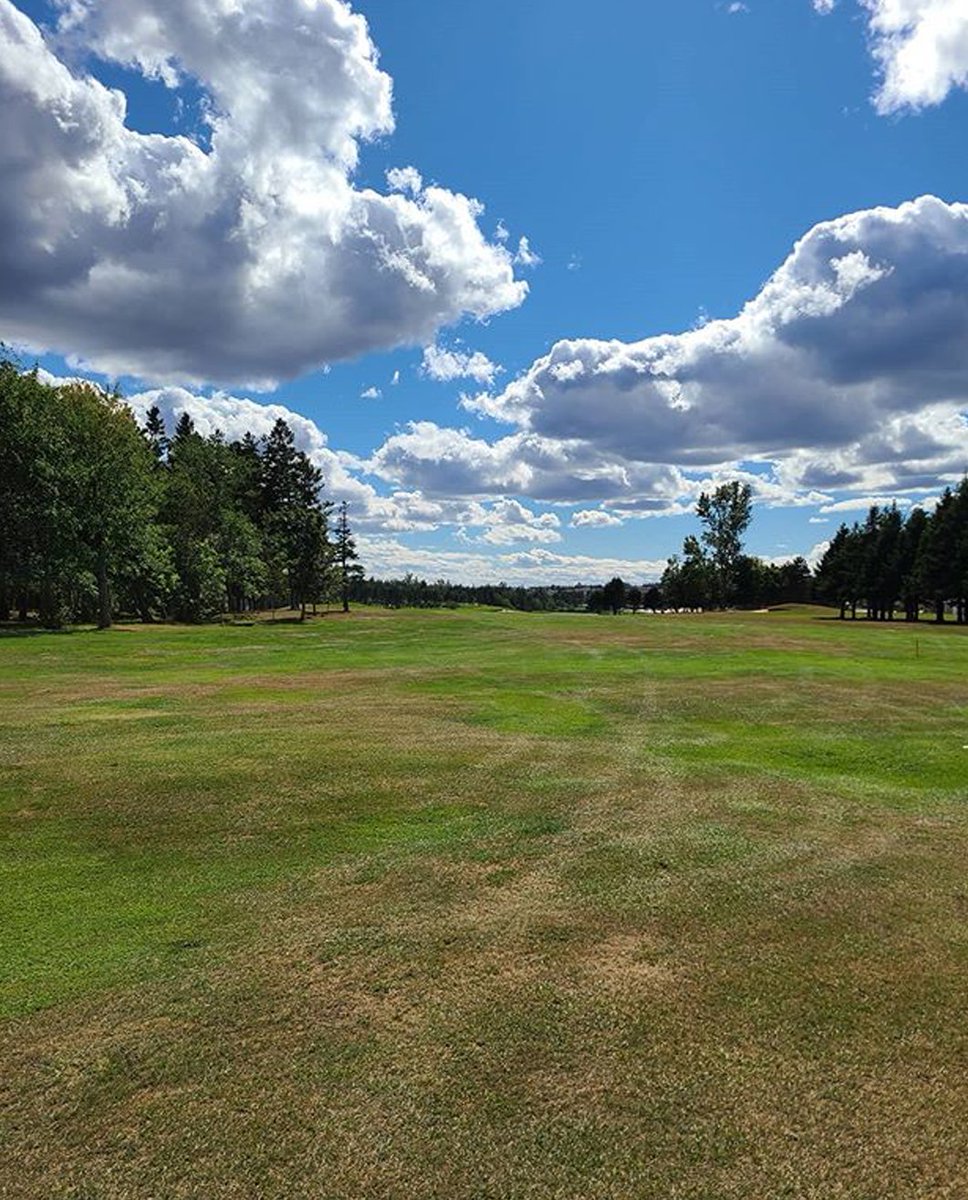 Stanhope Golf tweet media