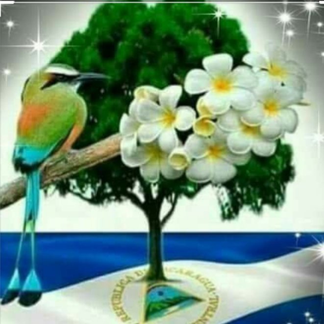 Vivan las fiestas patrias de esta tierra hermosa linda y soberana está llena de Lagos y volcanes 🔵⚪🔴⚫ #2021patriabenditaylibre #UnidosEnVictorias #ManaguaSandinista