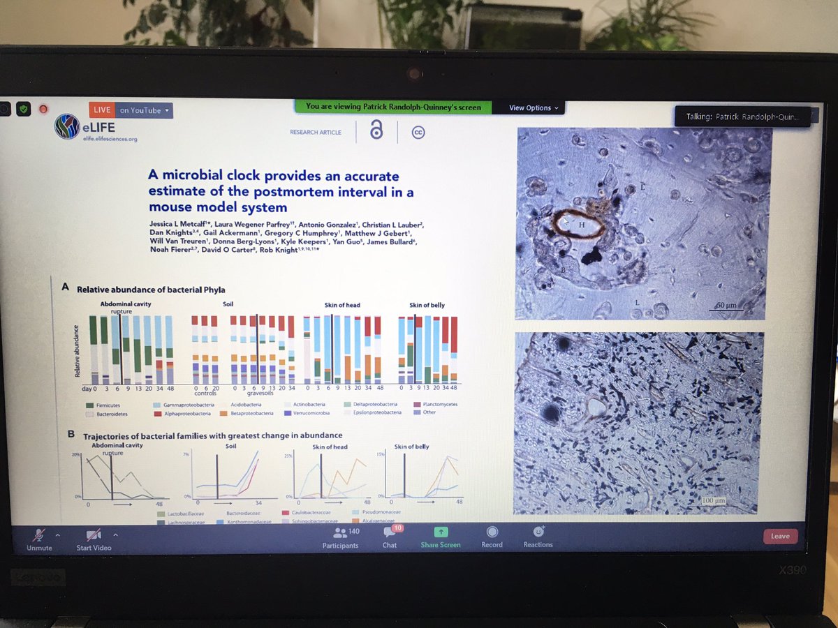 EmmaTollefsen's tweet image. #ForensicTaphonomy #Forensics #OnlineLecture