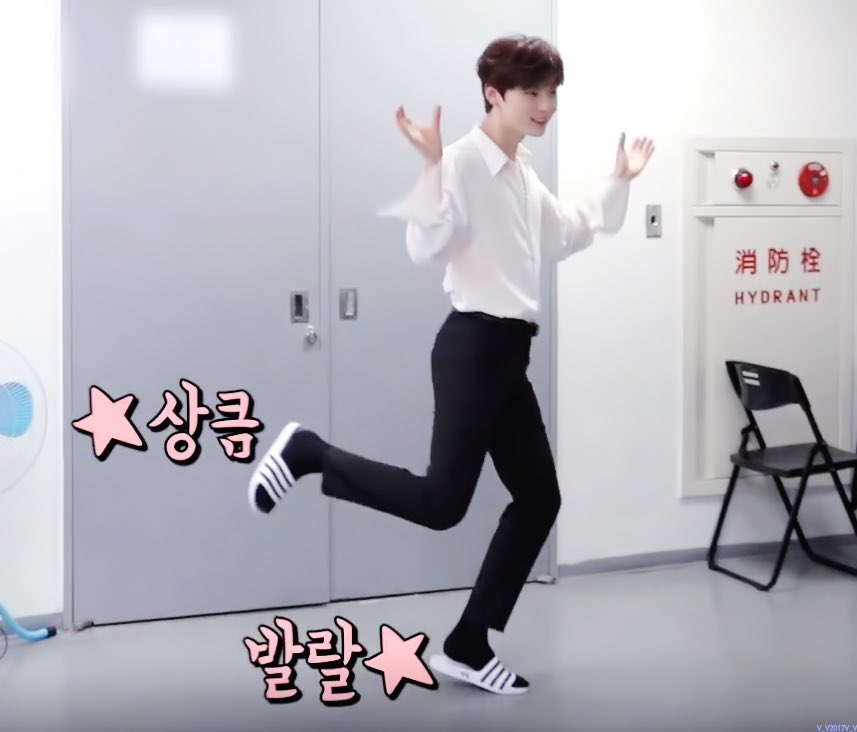 Minhyun the cat tweet media