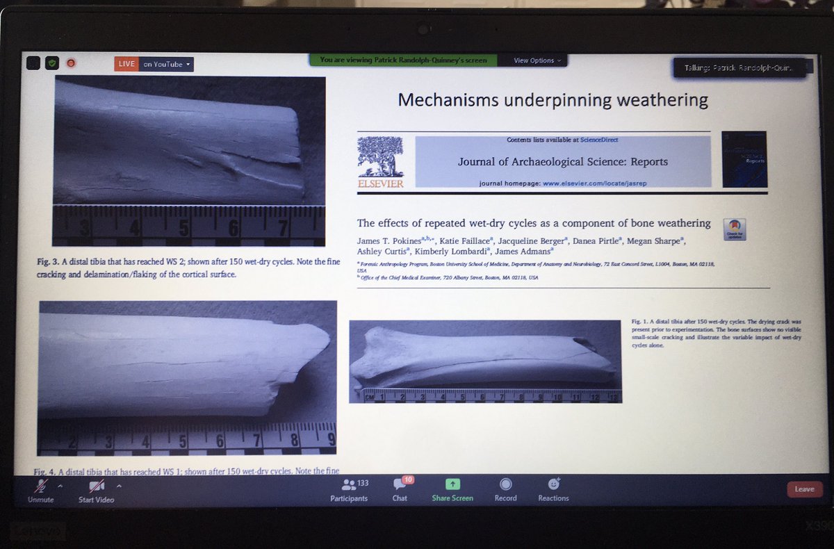 EmmaTollefsen's tweet image. #ForensicTaphonomy #Forensics #OnlineLecture