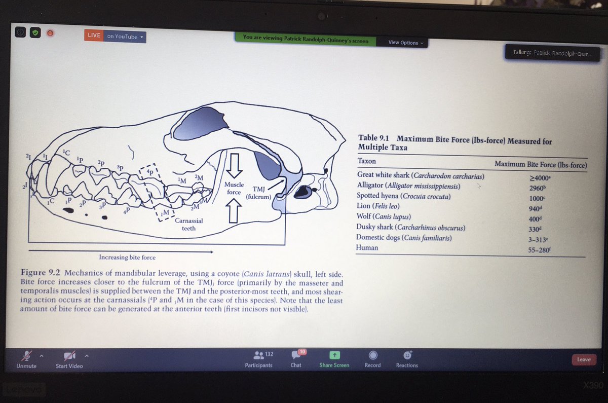 EmmaTollefsen's tweet image. #ForensicTaphonomy #Forensics #OnlineLecture
