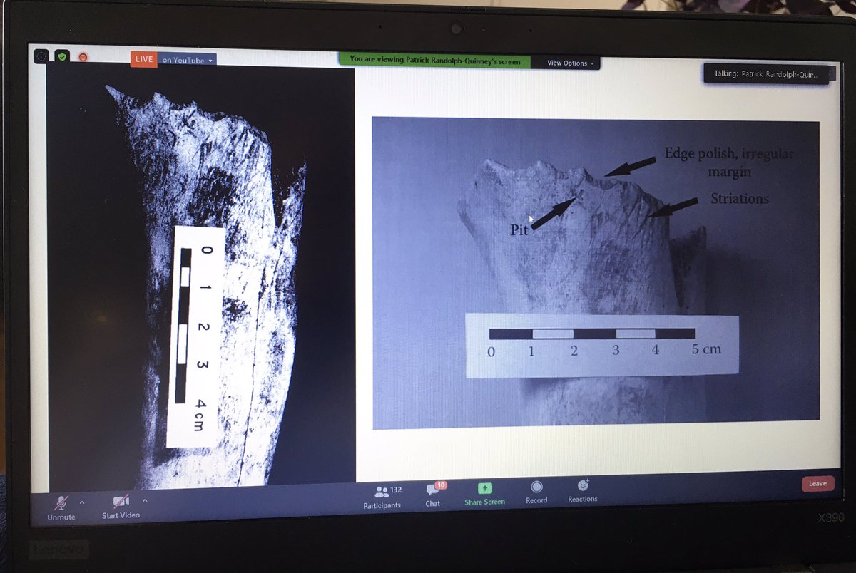 EmmaTollefsen's tweet image. #ForensicTaphonomy #Forensics #OnlineLecture